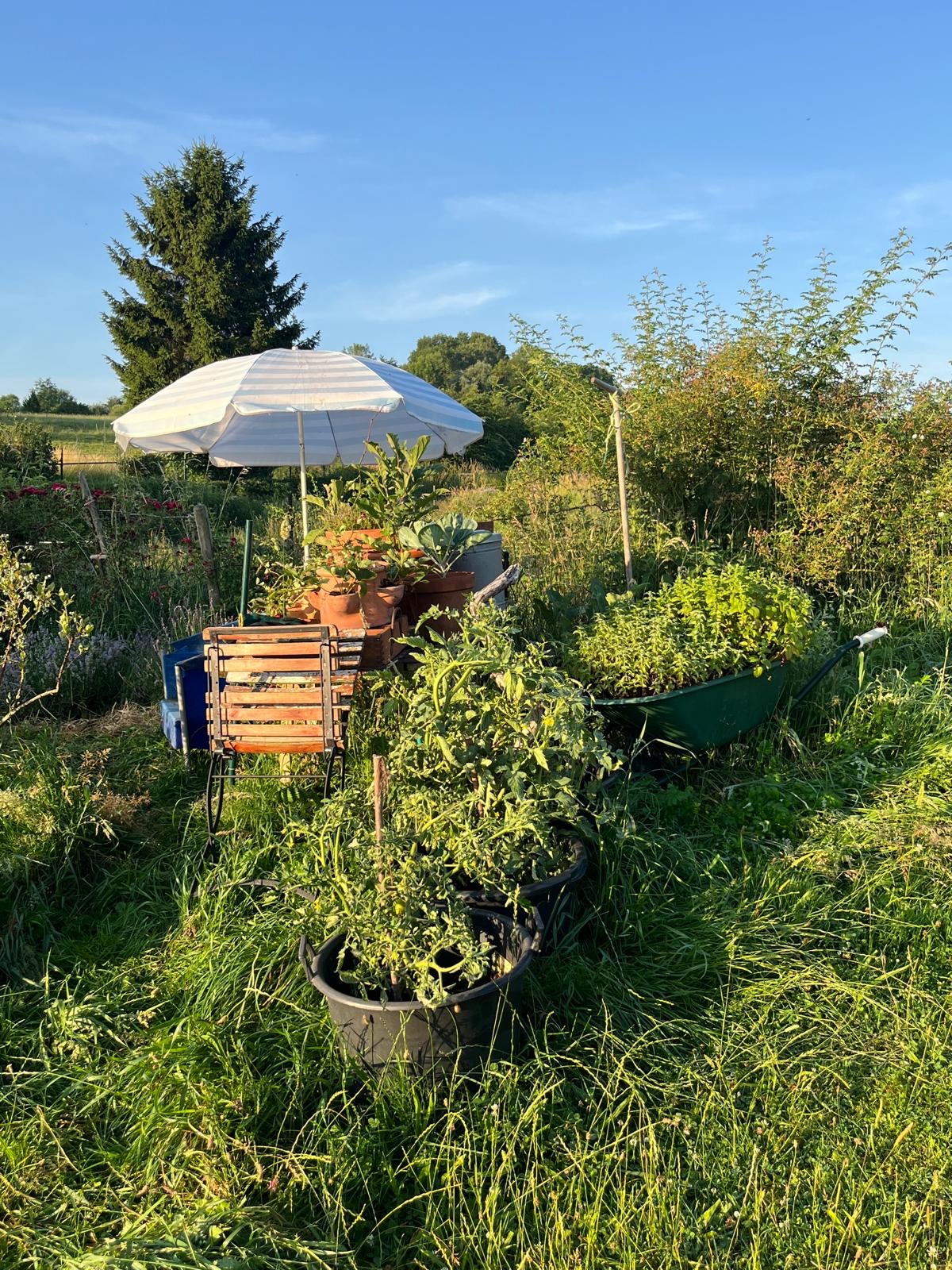 Eigen tuin